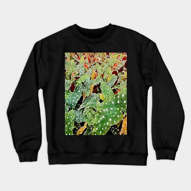 begonia plants Crewneck Sweatshirt by Banyu_Urip